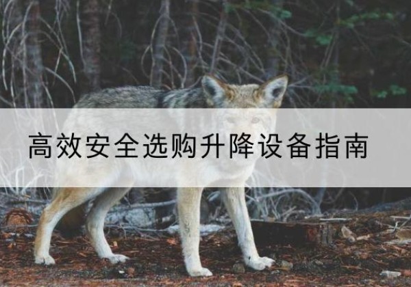 登封升降货梯厂家推荐-*安全选购升降设备指南
