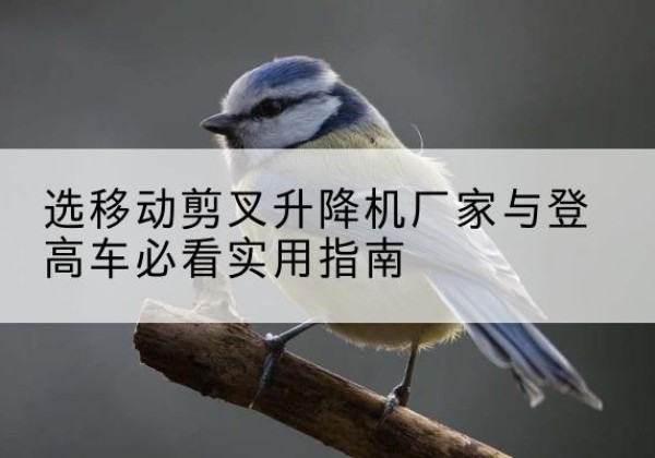 登封电动升降机厂家-选移动剪叉升降机厂家与登高车必看实用指南