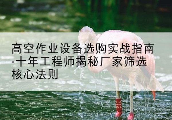 登封剪叉式升降机厂家-高空作业设备选购实战指南-十年工程师揭秘厂家筛选核心法则